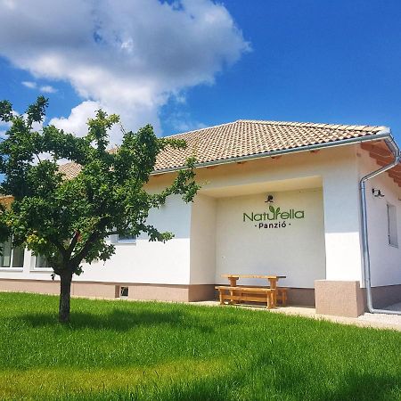 Naturella Panzio 维拉尼 外观 照片